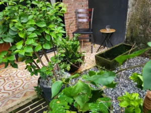 Halaman terbuka membantu sistem ventilasi rumah.