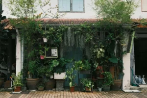 Tanaman hias sebagai penghalang sinar matahari.