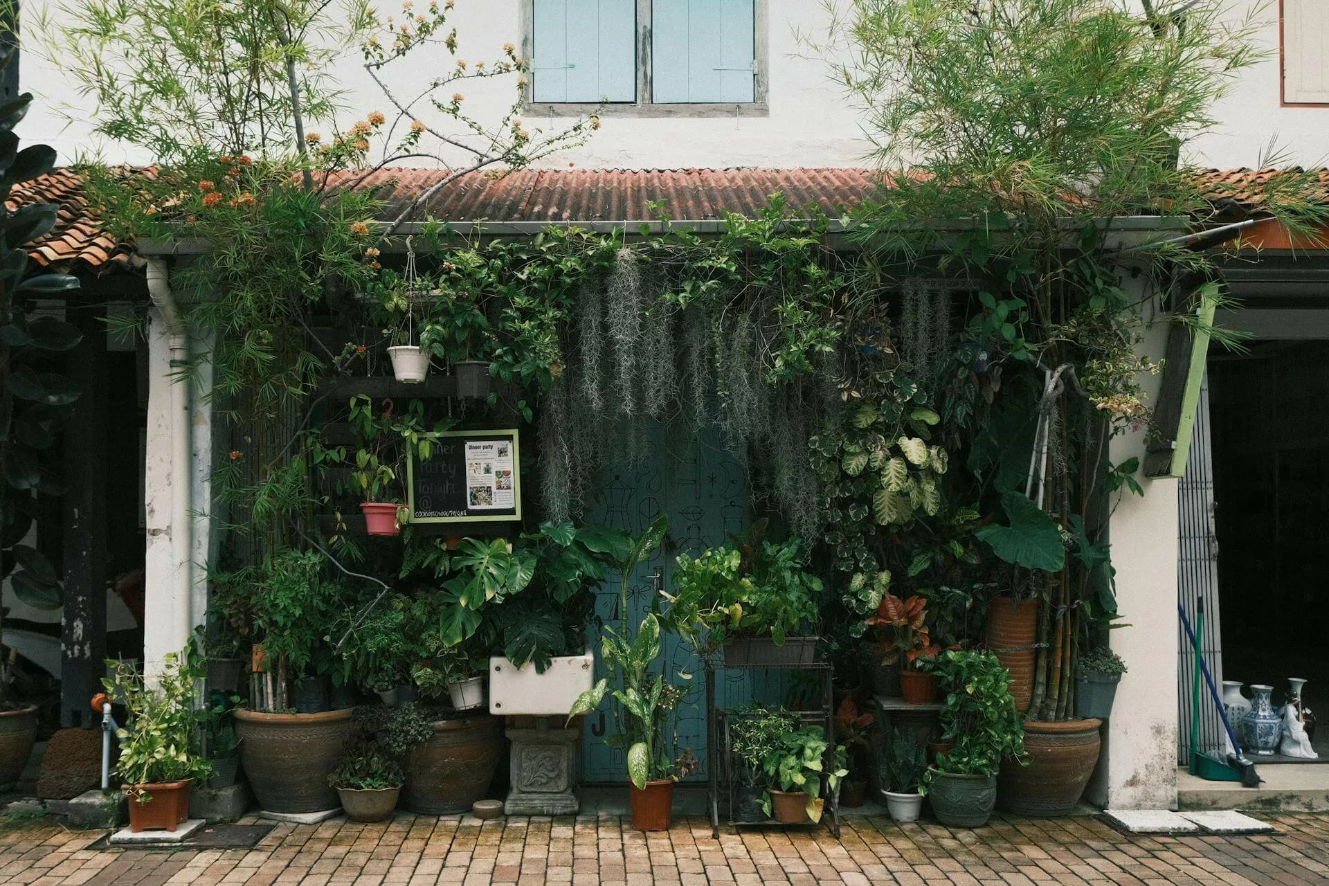 Tanaman hias sebagai penghalang sinar matahari.