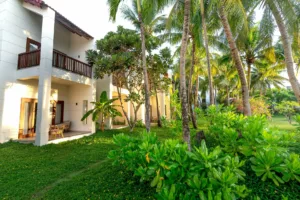 Pepohonan di sekitar membuat rumah adem setiap saat.